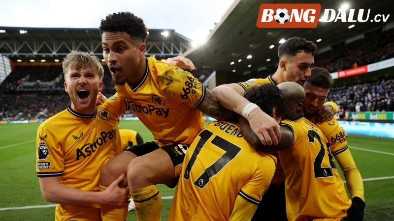 Tình hình của Wolverhampton tại NHA 2025/26